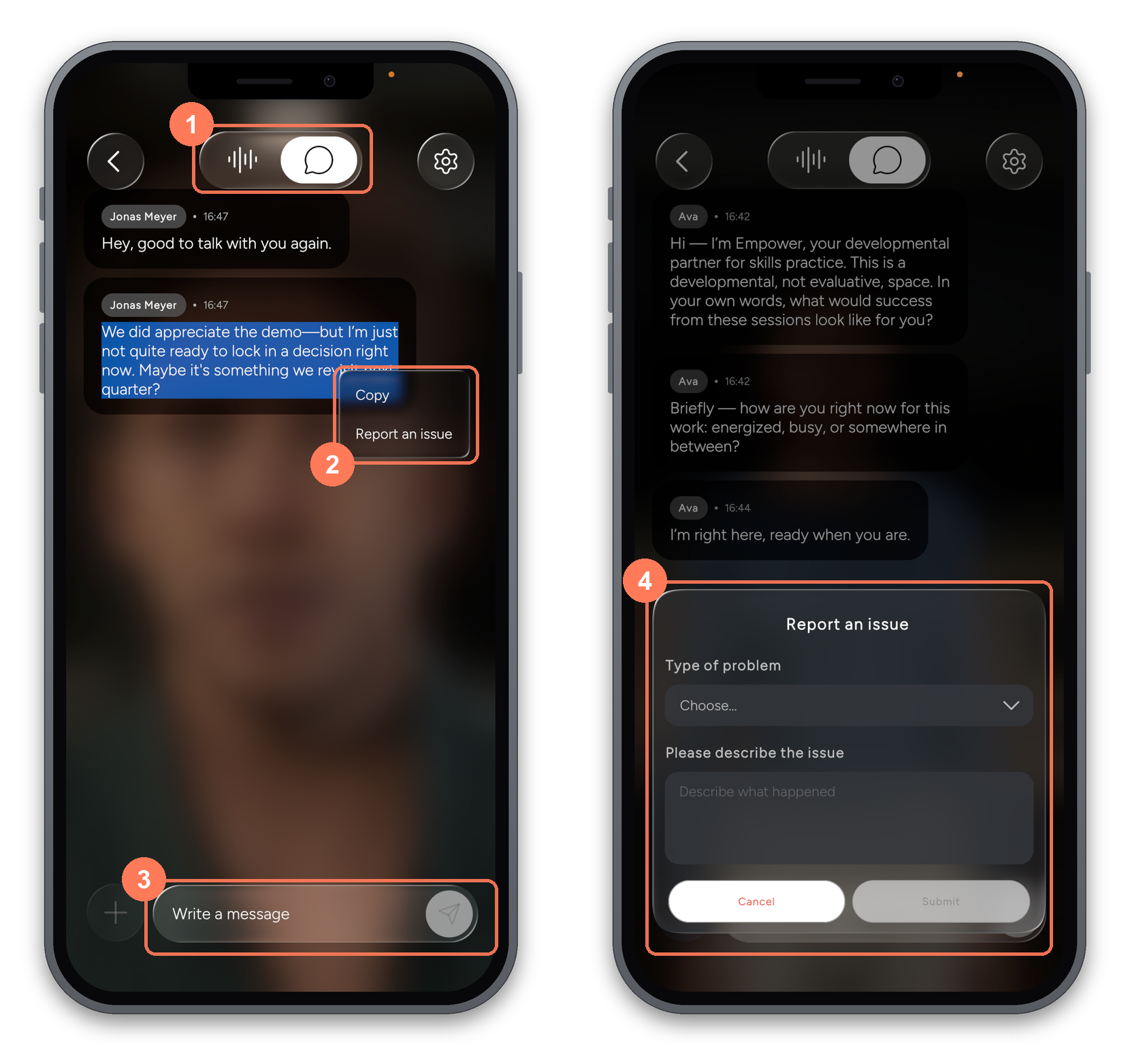 The chat view
